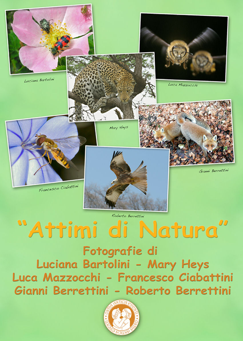 Mostra fotografica Ostia Antica